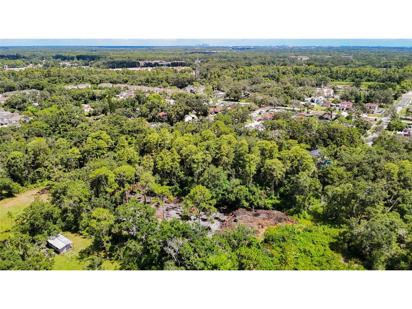 Anno Street Tampa FL 33625 TB8417683 image13