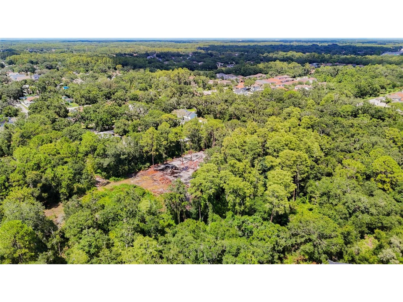 Anno Street Tampa FL 33625 TB8417683 image14