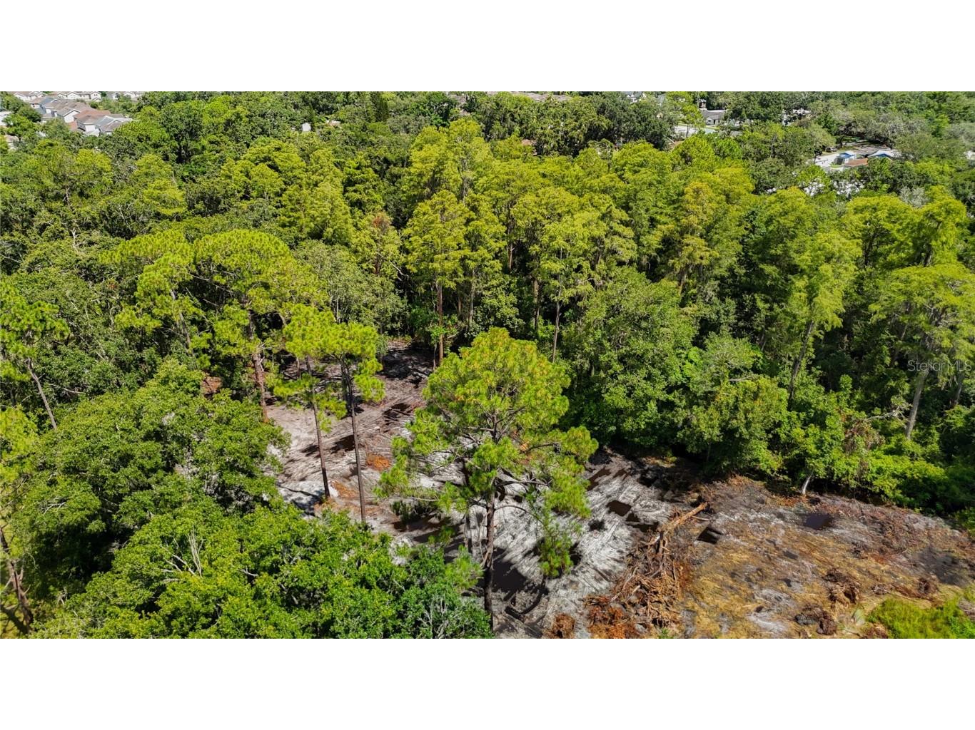 Anno Street Tampa FL 33625 TB8417683 image6