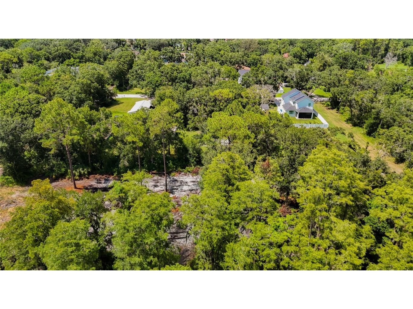 Anno Street Tampa FL 33625 TB8417683 image7