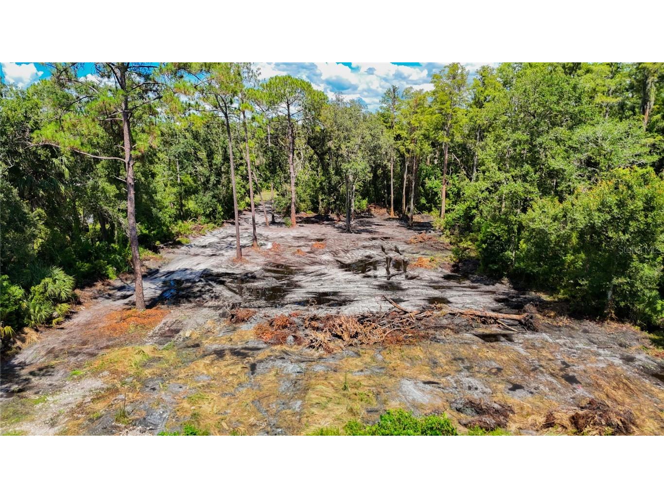 Anno Street Tampa FL 33625 TB8417684 image1