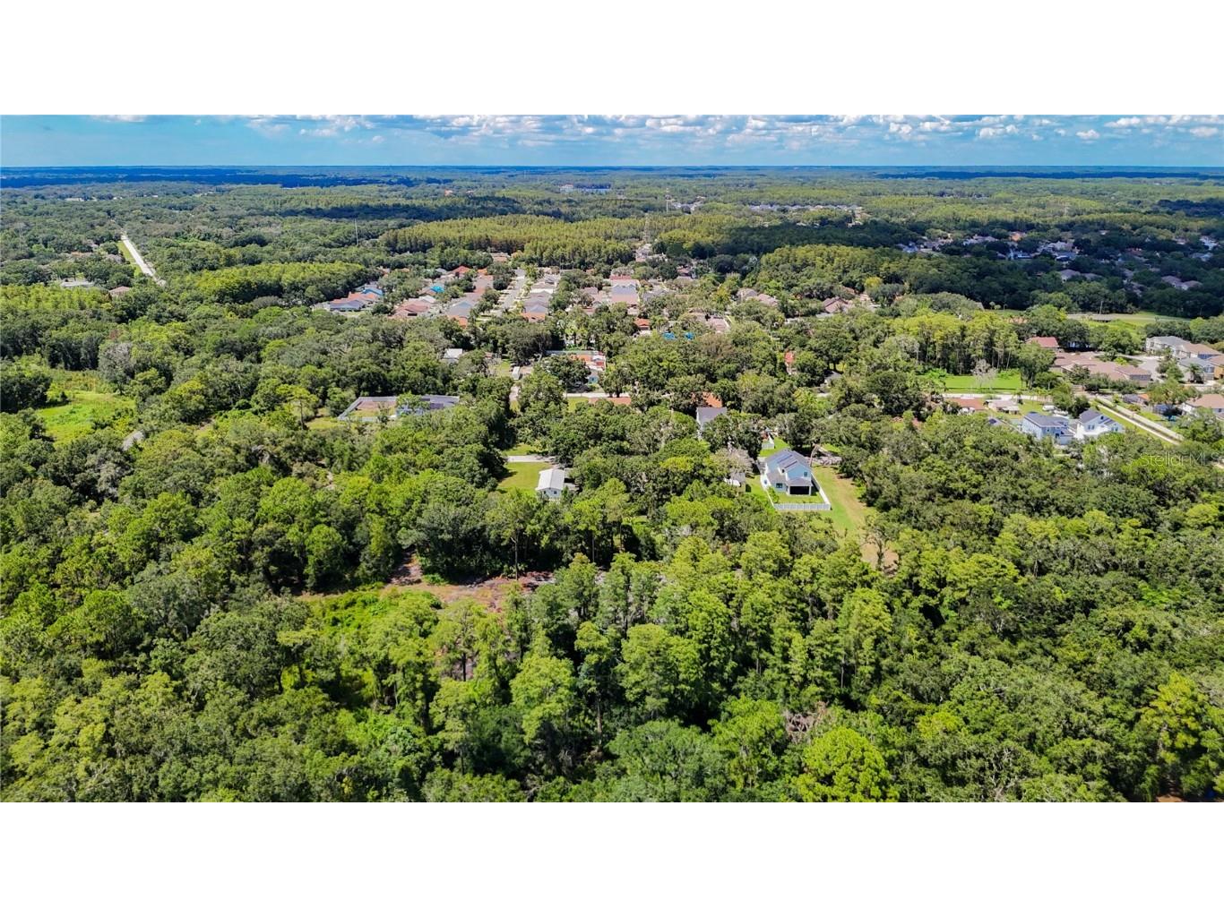 Anno Street Tampa FL 33625 TB8417684 image10