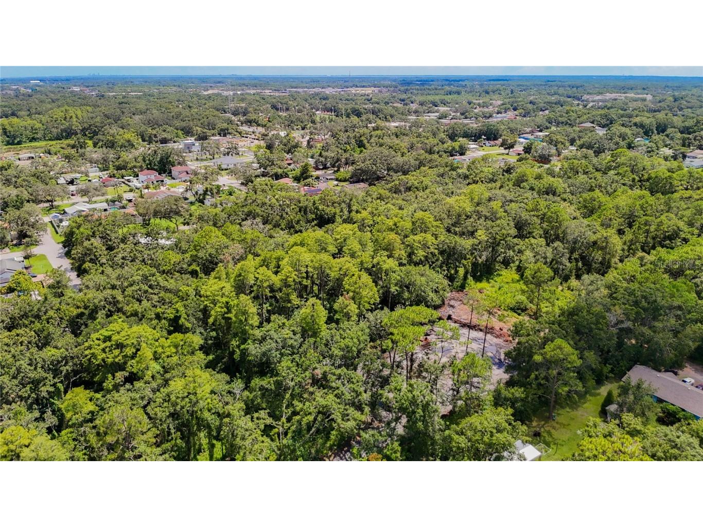 Anno Street Tampa FL 33625 TB8417684 image11