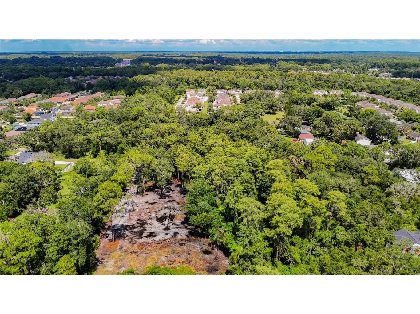 Anno Street Tampa FL 33625 TB8417684 image3