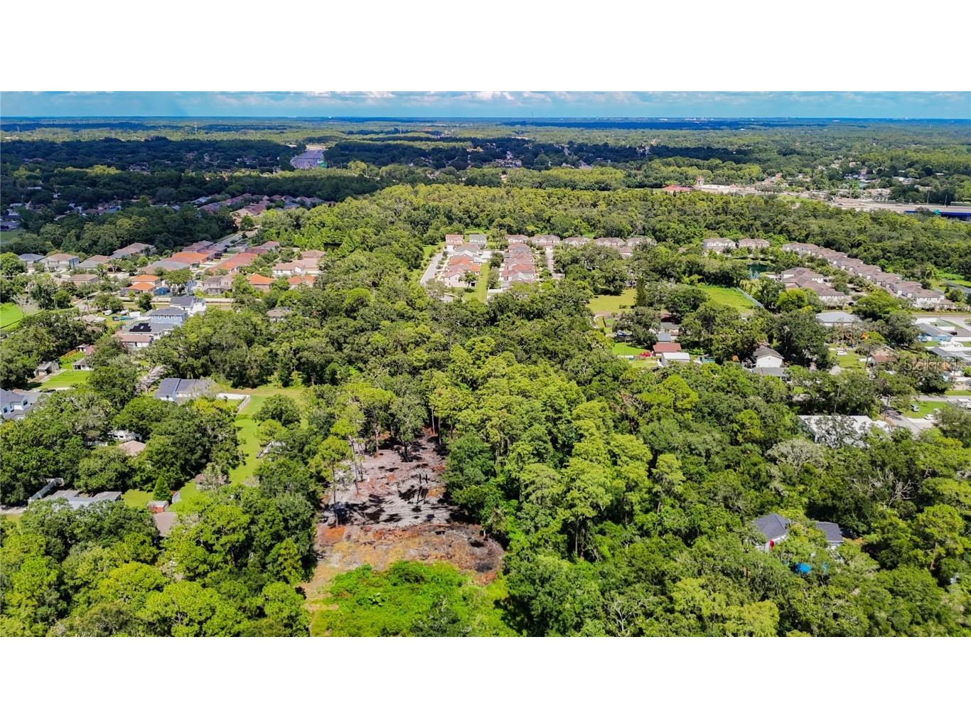 Anno Street Tampa FL 33625 TB8417684 image4