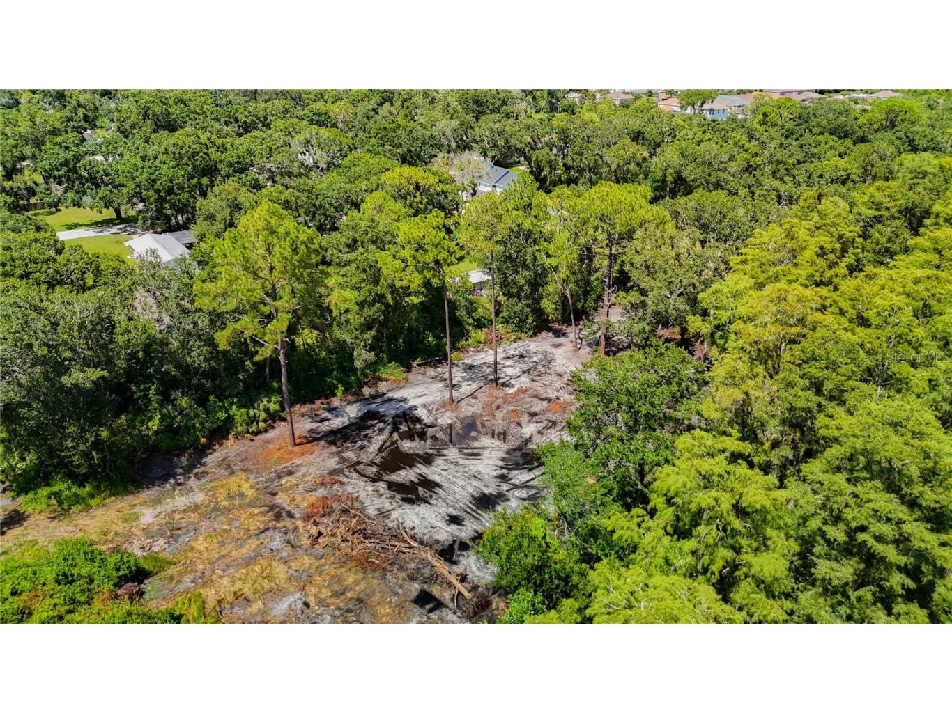 Anno Street Tampa FL 33625 TB8417684 image5