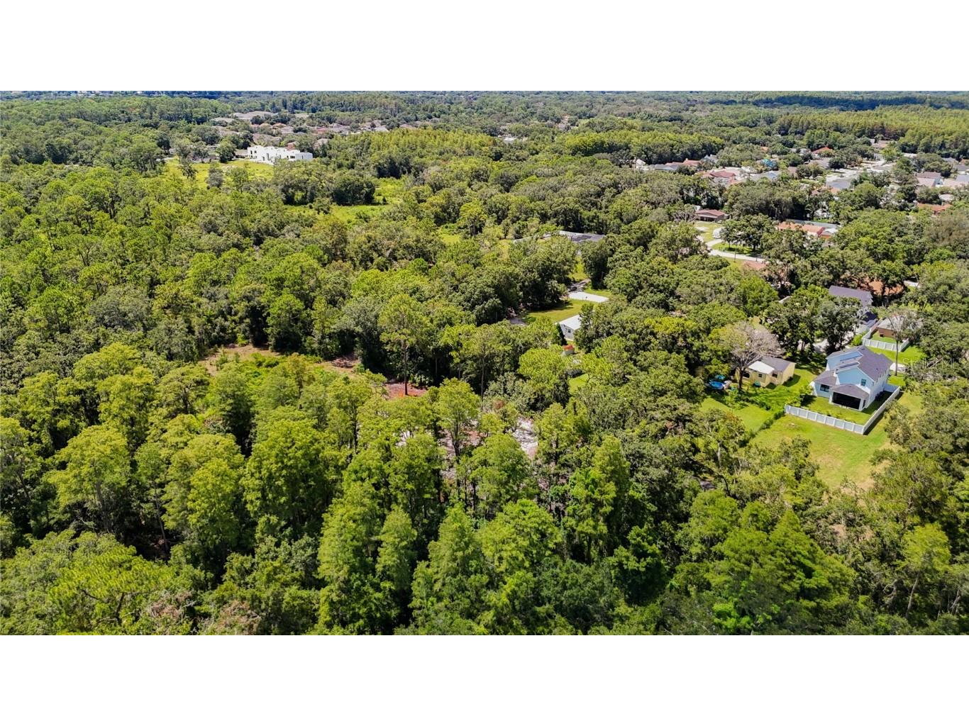 Anno Street Tampa FL 33625 TB8417684 image8