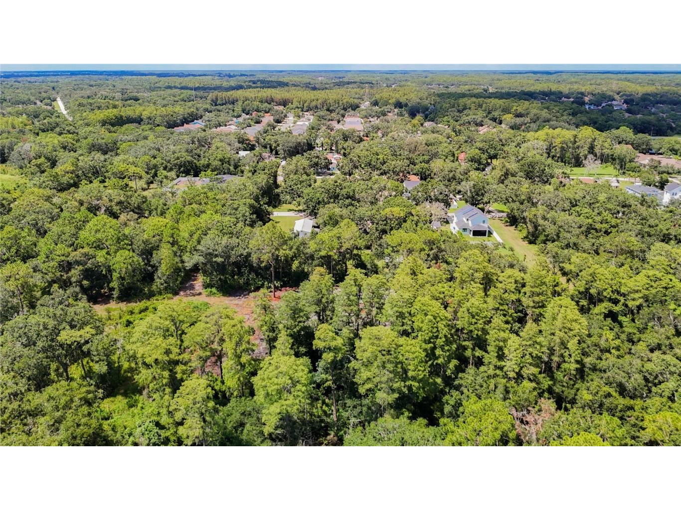 Anno Street Tampa FL 33625 TB8417684 image9