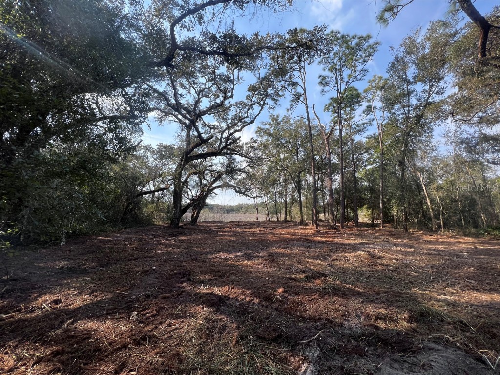 Antietam Drive Webster FL 33597 T3425234 image1