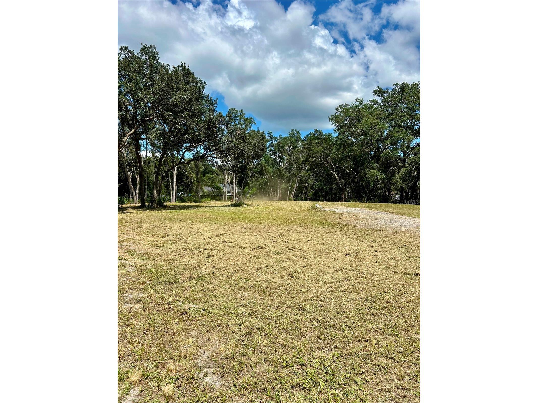 7414 Antietam Drive Webster FL 33597 S5152317 image10