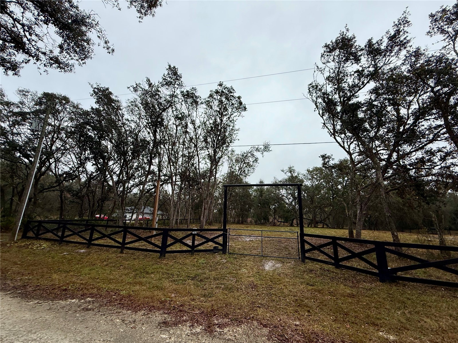7414 Antietam Drive Webster FL 33597 S5152317 image6