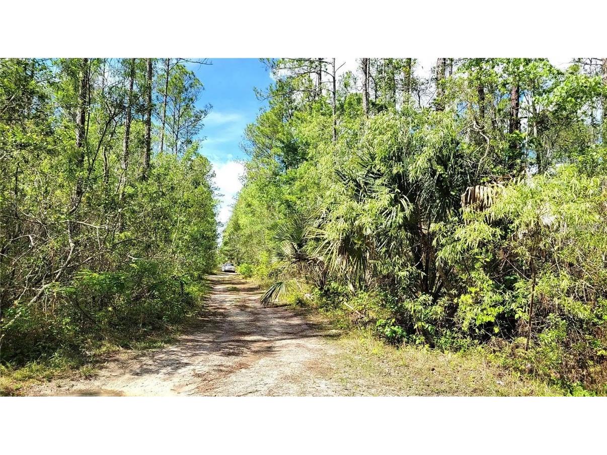 Apollo Lane Deland FL 32720 O6265313 image1