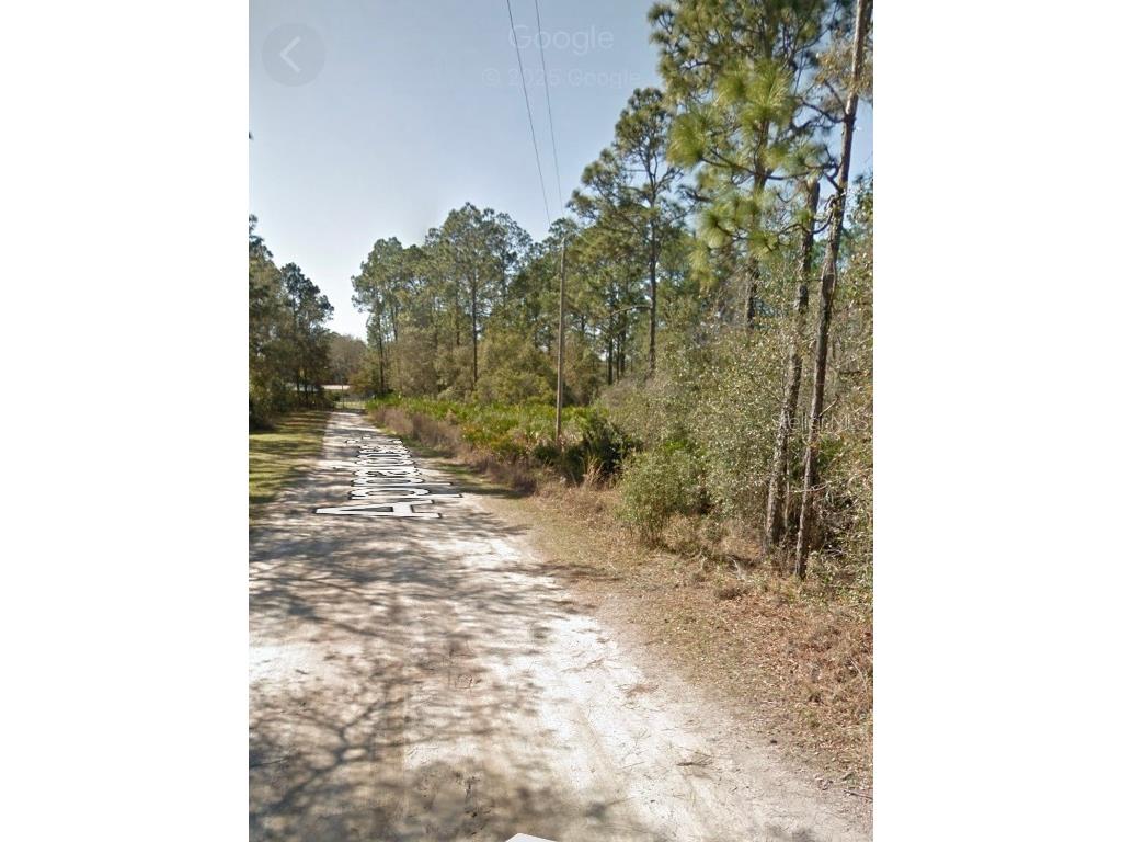 Appaloosa Drive Interlachen FL 32148 O6317935 image1