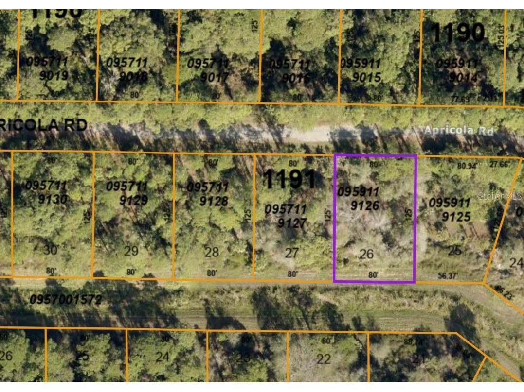 Apricola Rd North Port FL 34286 A4580328 image2