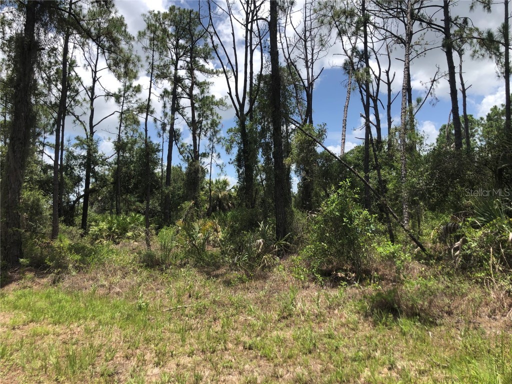 Apricola Road North Port FL 34286 C7495352 image3