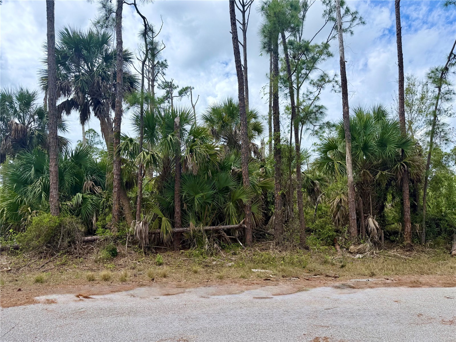 Apricola Road North Port FL 34286 C7523461 image2