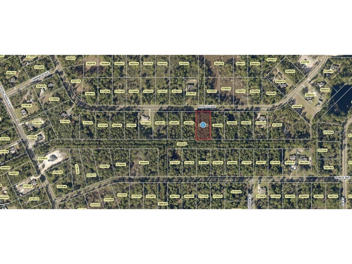 Apricot Avenue Eustis FL 32736 A4516925 image1