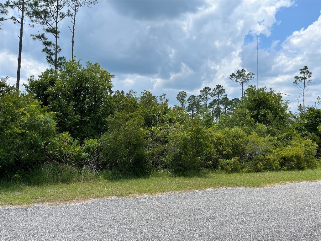Apricot Avenue Eustis FL 32736 G5070671 image1