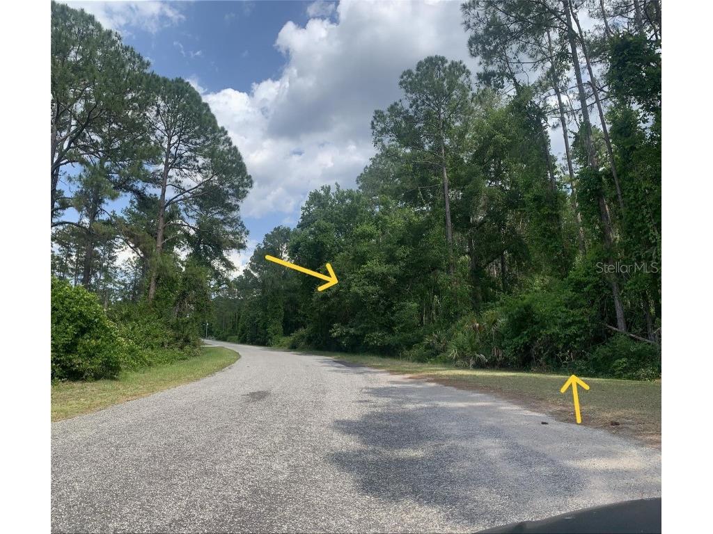 Apricot Avenue Eustis FL 32736 - LAKE NORRIS AND LAKE MARION G5081568 image1