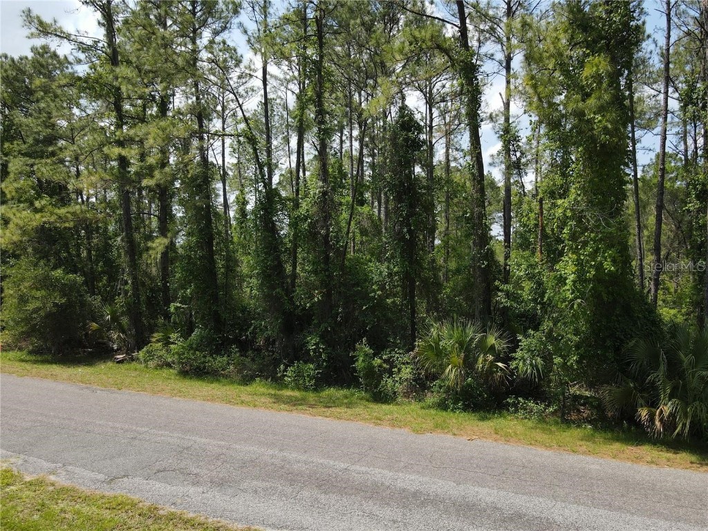 Apricot Avenue Eustis FL 32736 T3468252 image1