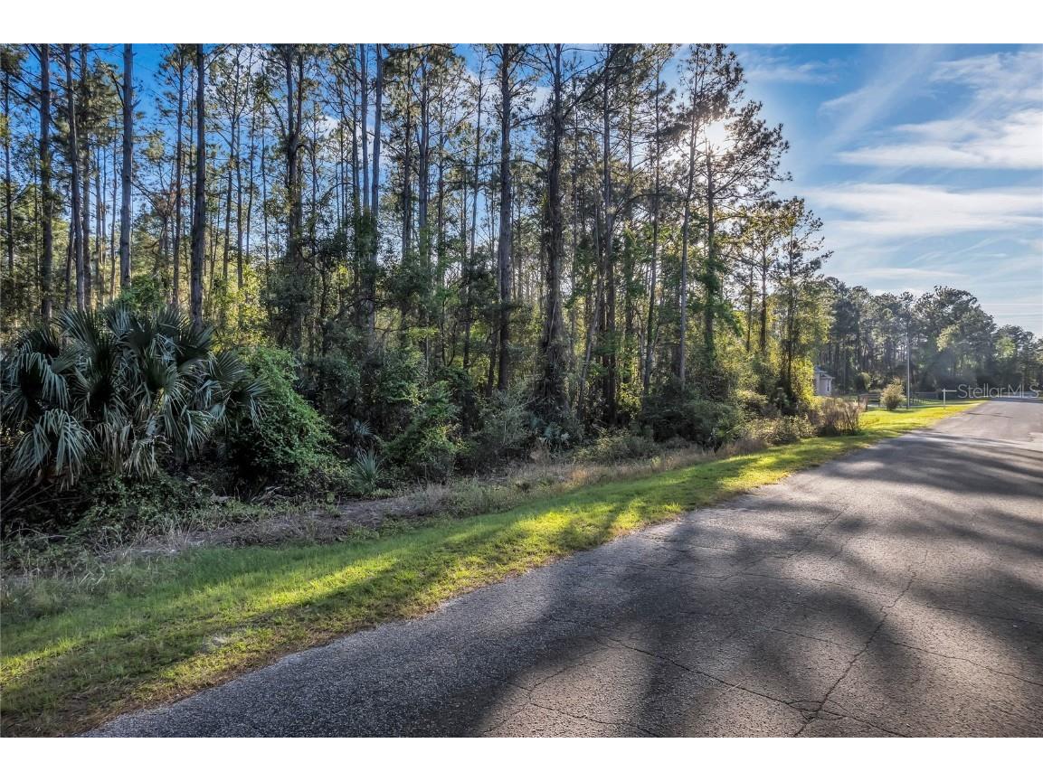 Apricot Avenue Eustis FL 32736 V4929011 image1