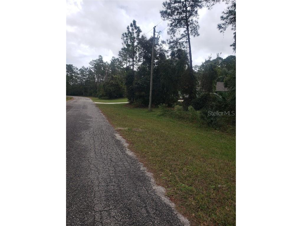 Apricot Avenue Eustis FL 32736 - LAKE NORRIS O6255204 image1