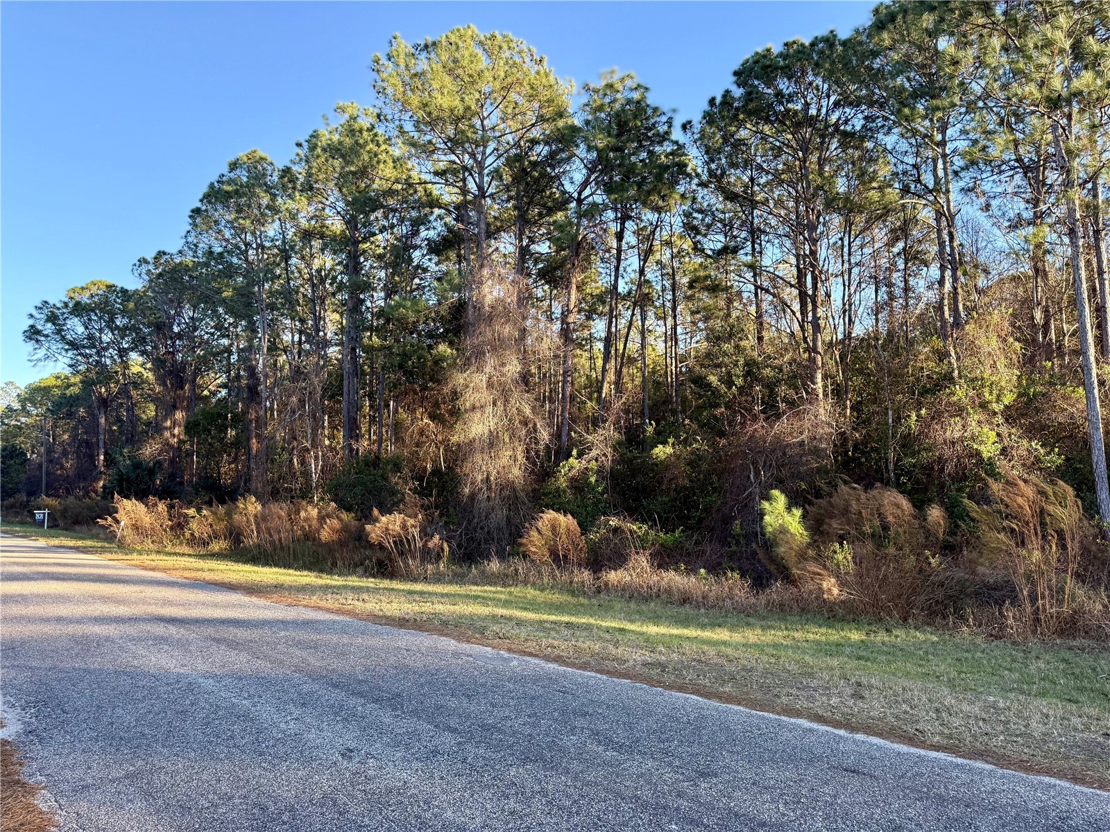 Apricot Avenue Eustis FL 32736 O6374305 image1