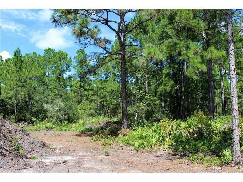 Apricot Avenue Eustis FL 32736 O6377042 image2