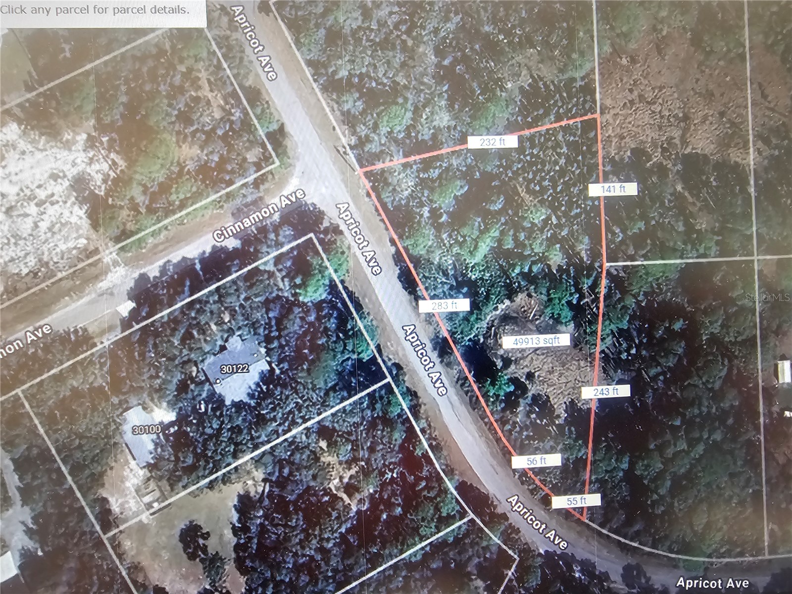 Apricot Avenue Eustis FL 32736 O6377042 image4
