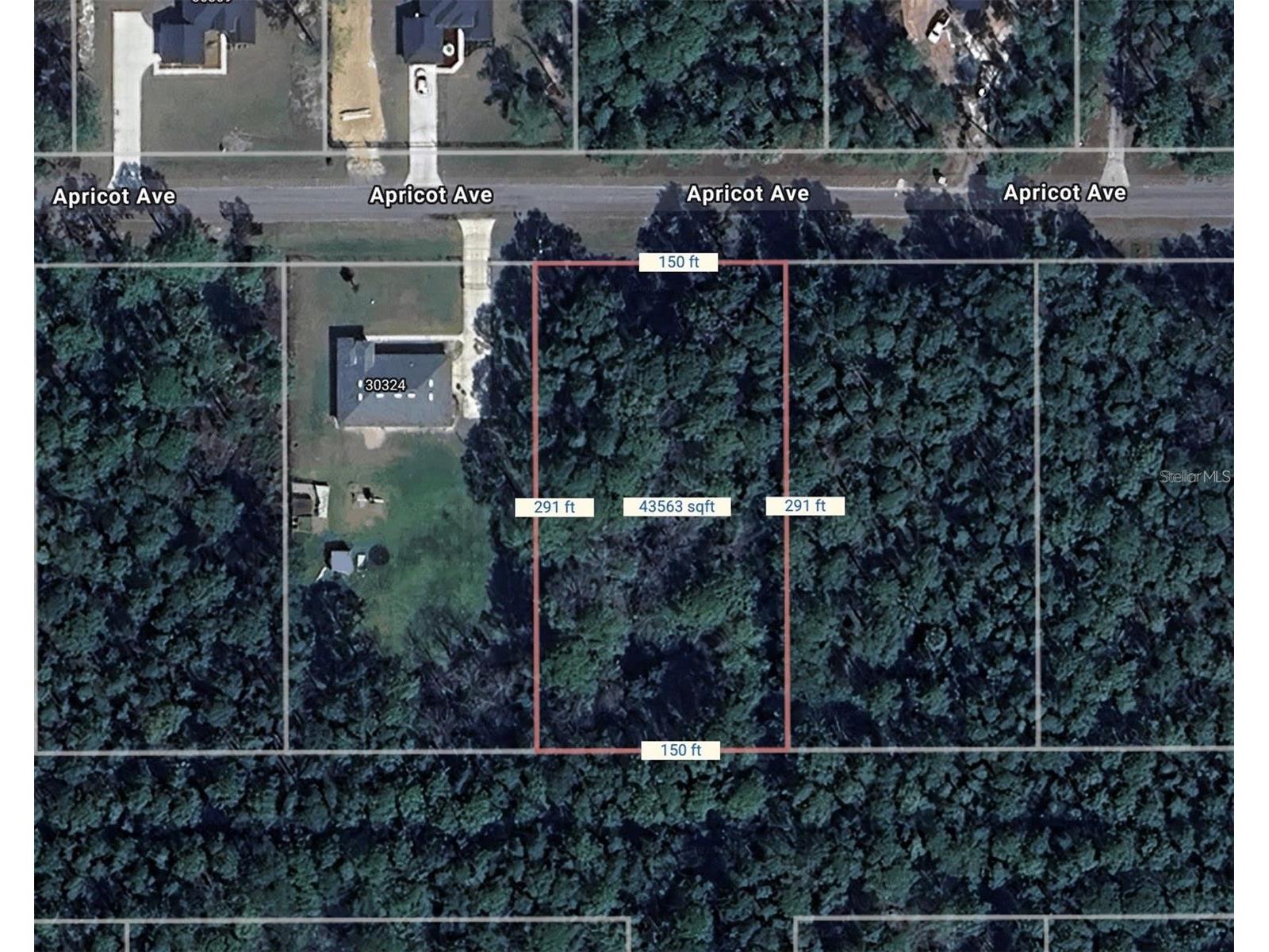 Apricot Avenue Eustis FL 32736 O6397860 image1