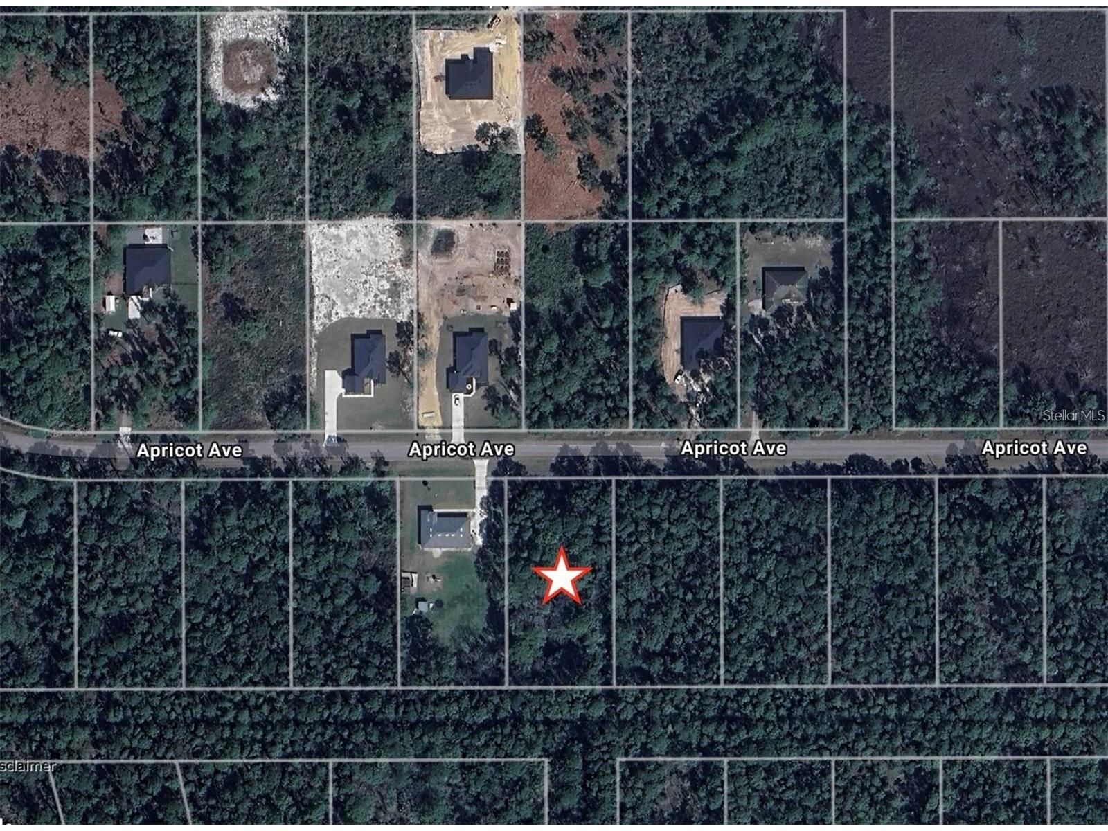 Apricot Avenue Eustis FL 32736 O6397860 image2