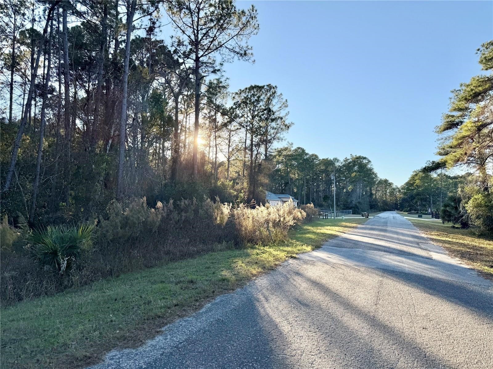 Apricot Avenue Eustis FL 32736 O6397860 image6