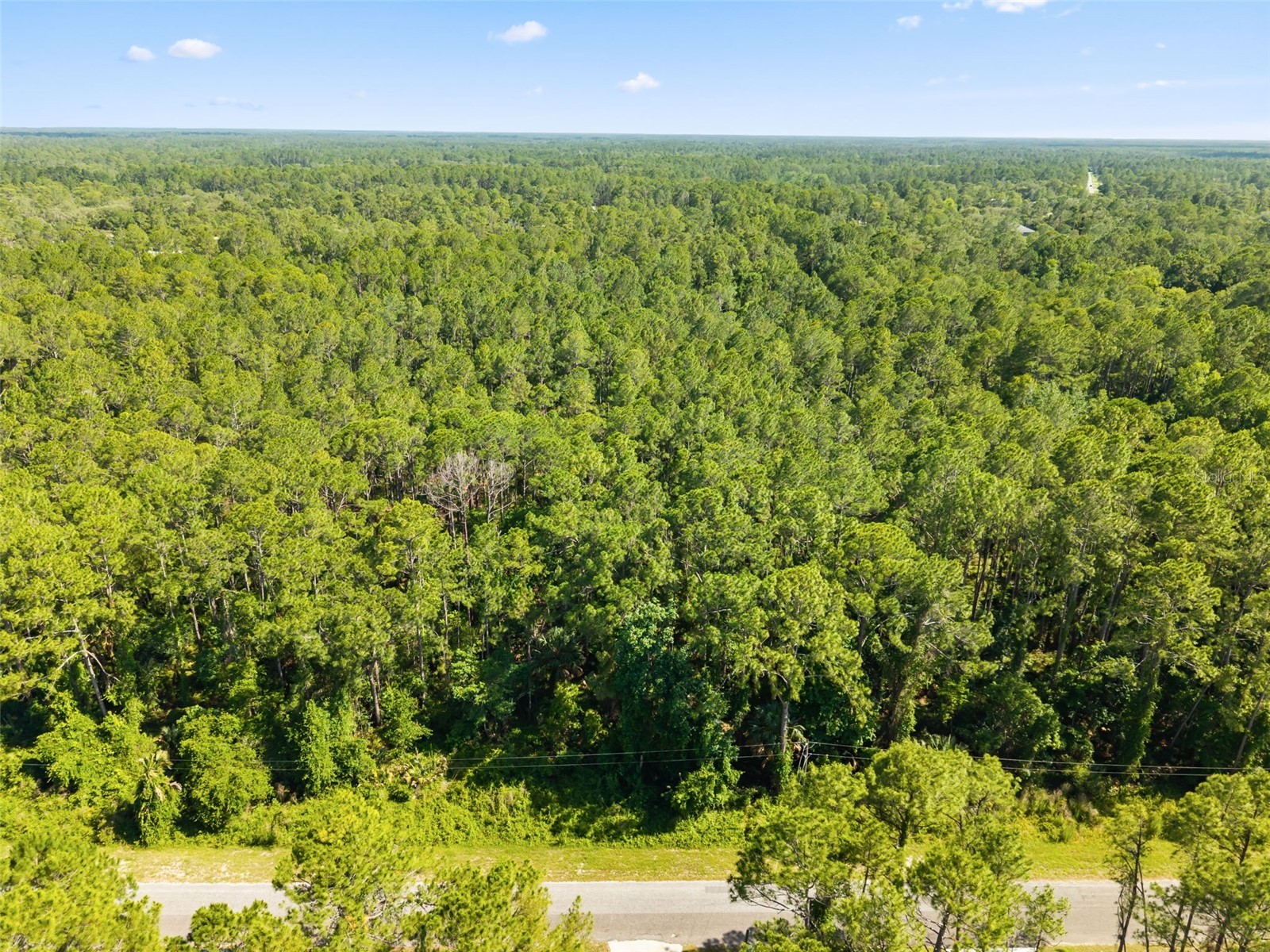 Apricot Avenue Eustis FL 32736 O6413791 image1