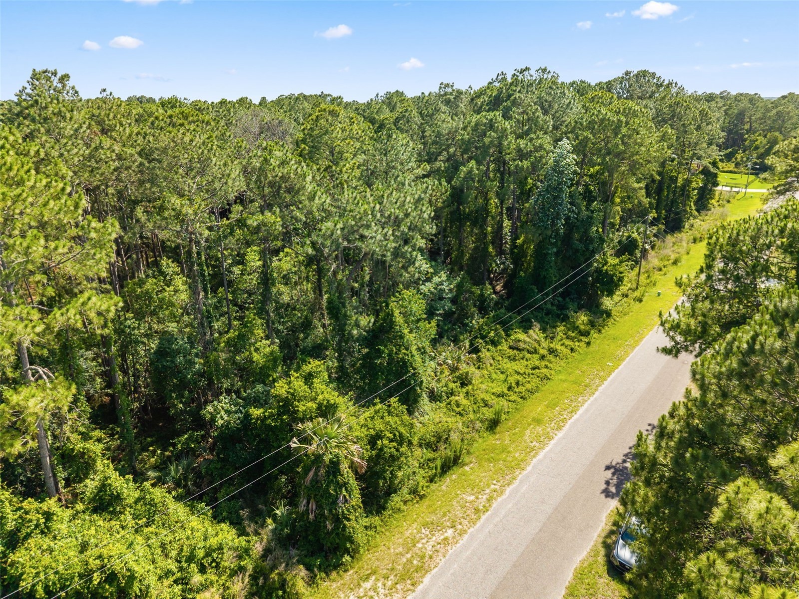 Apricot Avenue Eustis FL 32736 O6413791 image10