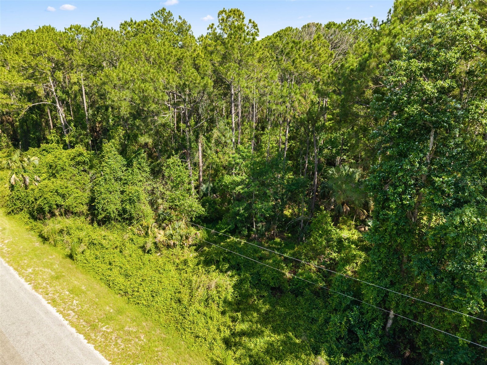 Apricot Avenue Eustis FL 32736 O6413791 image11
