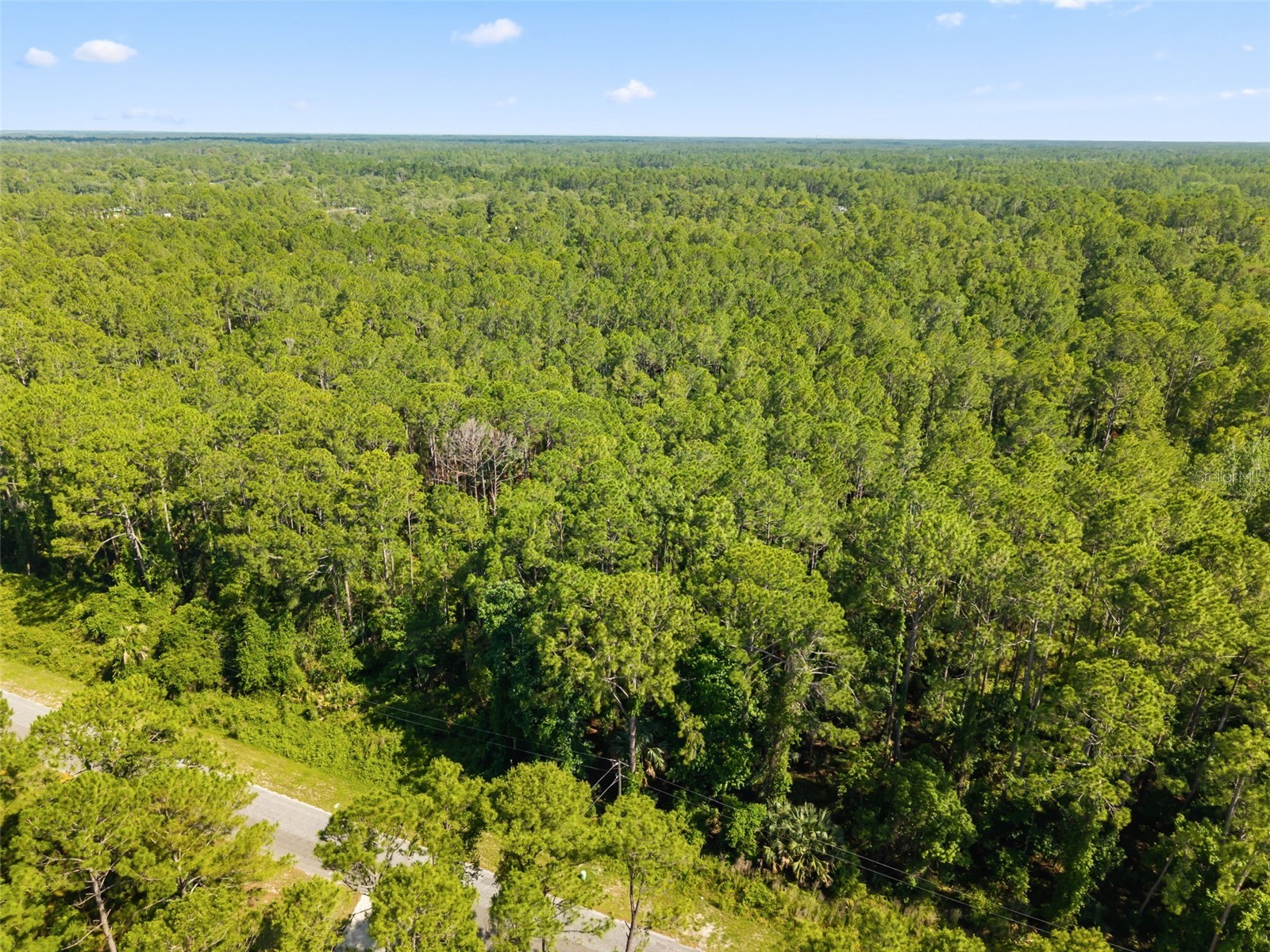 Apricot Avenue Eustis FL 32736 O6413791 image2