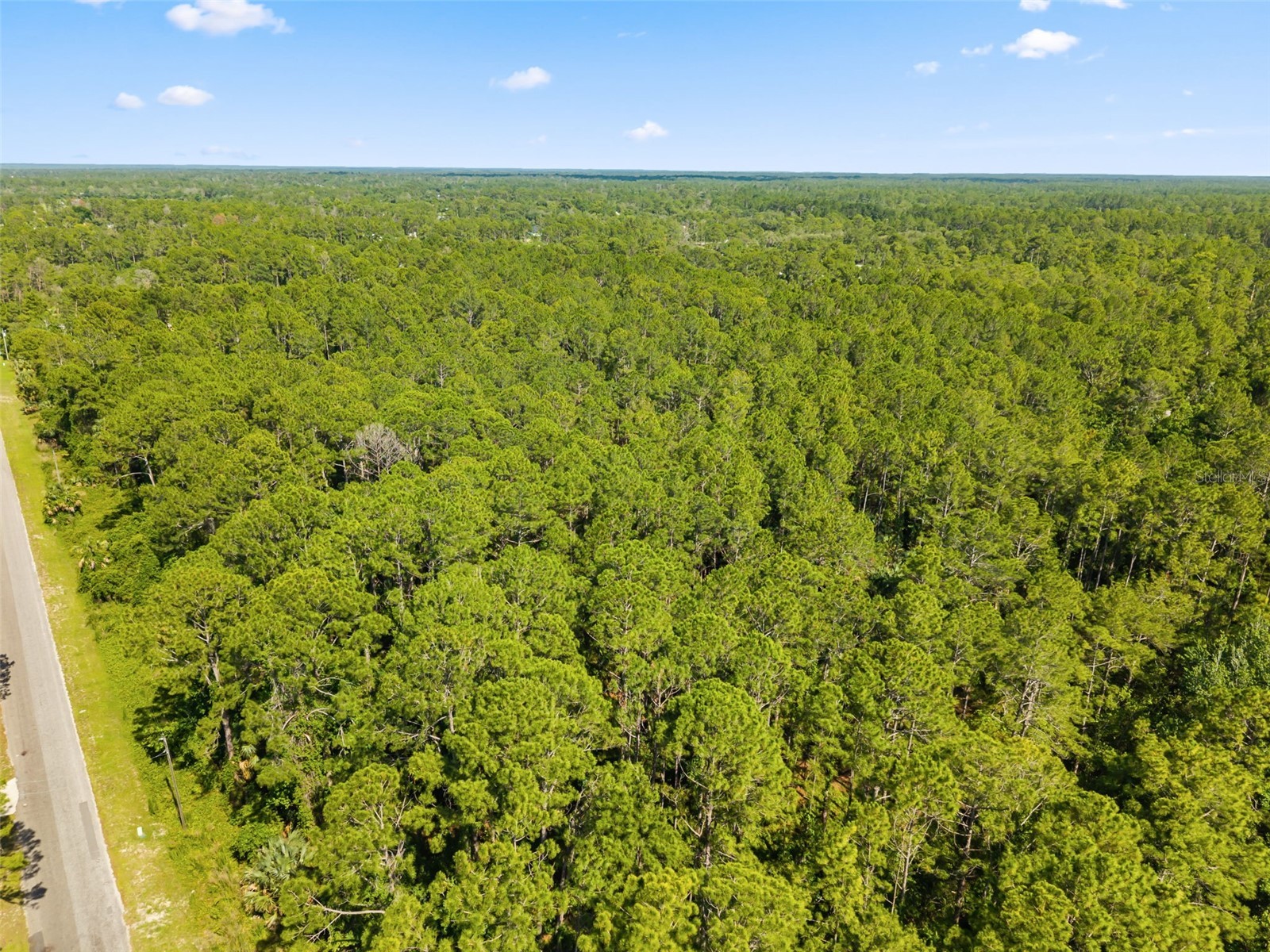 Apricot Avenue Eustis FL 32736 O6413791 image3