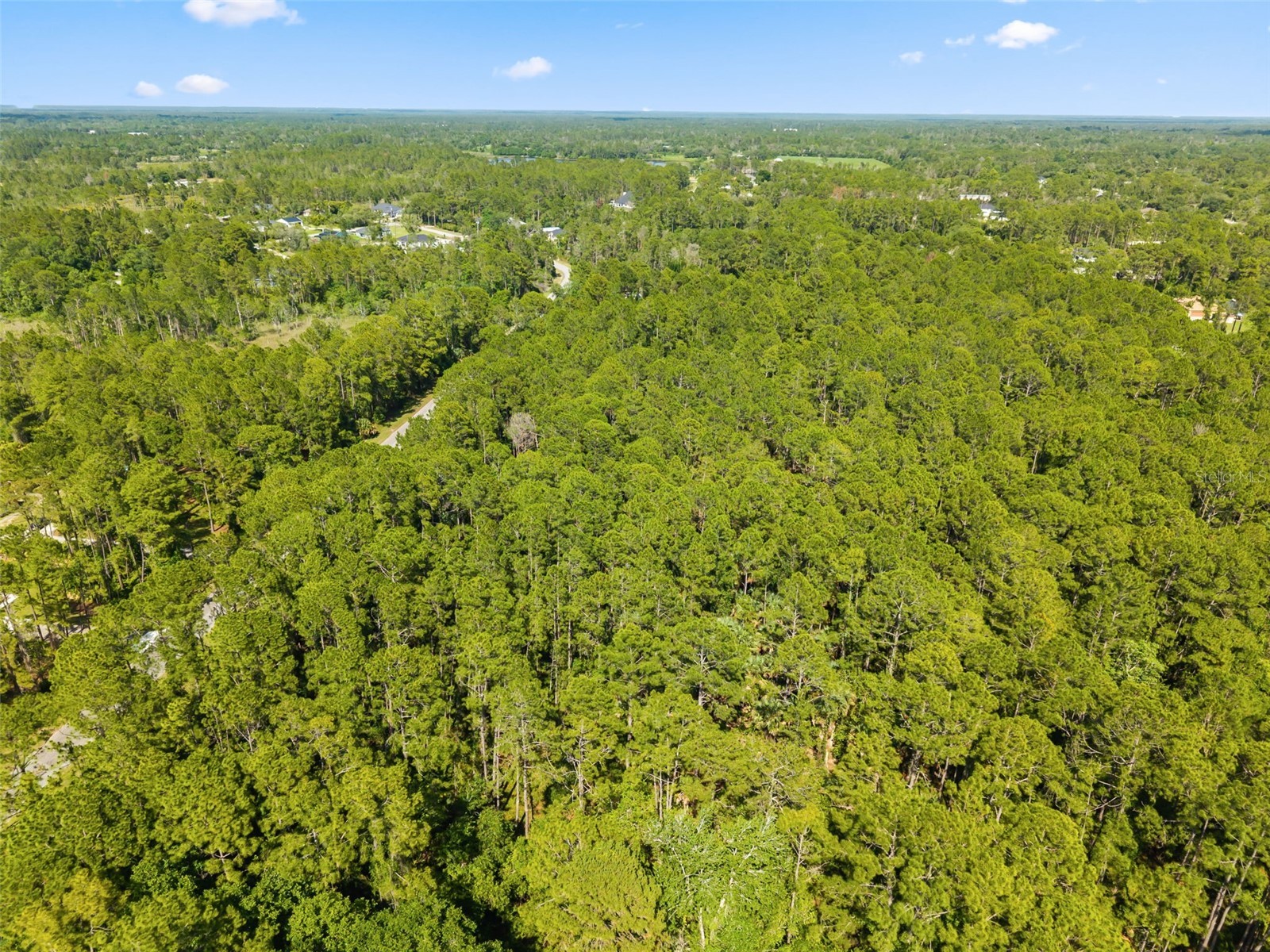 Apricot Avenue Eustis FL 32736 O6413791 image4