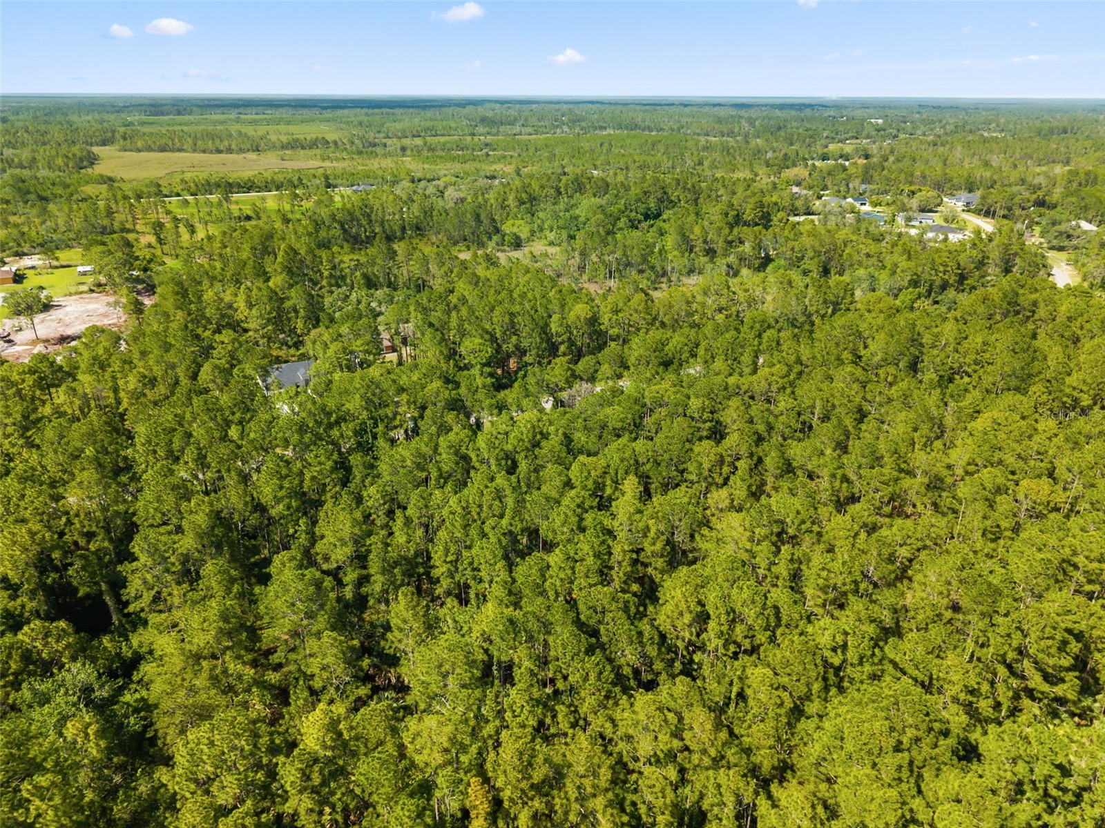 Apricot Avenue Eustis FL 32736 O6413791 image5