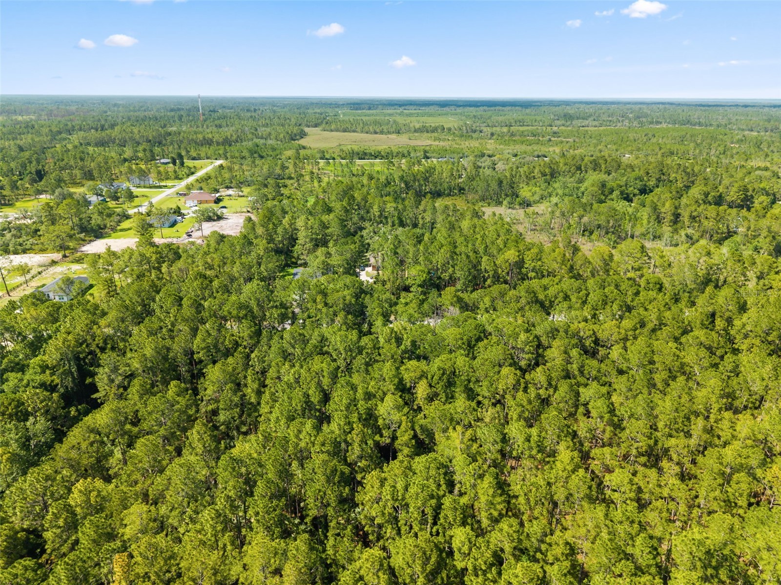 Apricot Avenue Eustis FL 32736 O6413791 image6