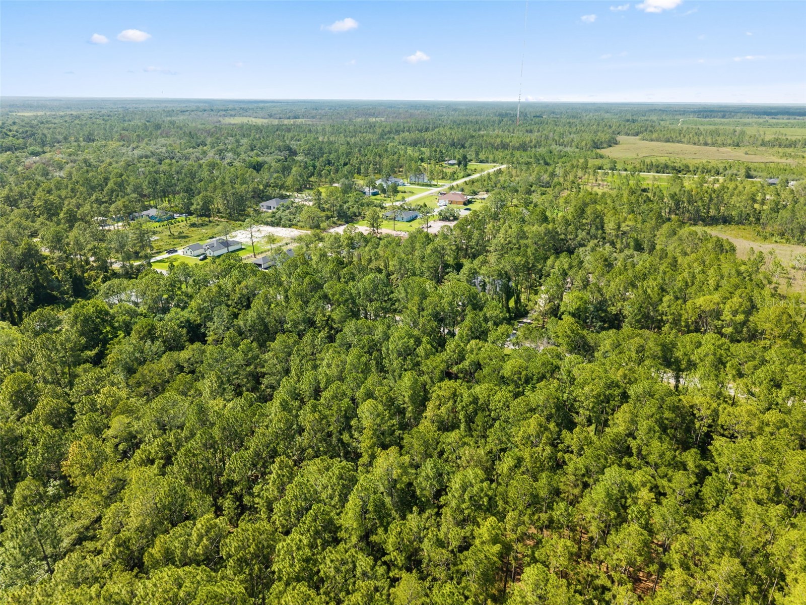 Apricot Avenue Eustis FL 32736 O6413791 image7