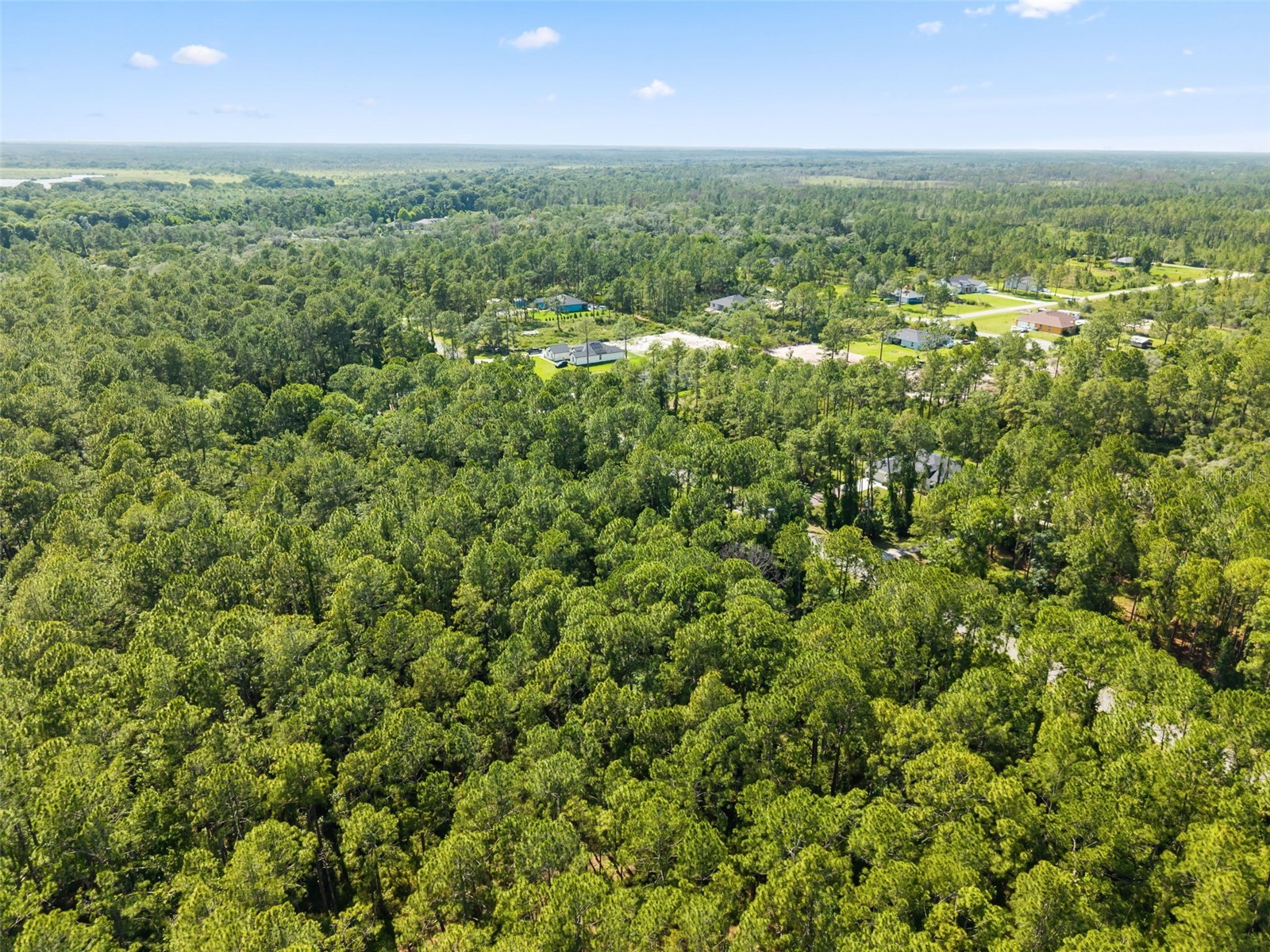Apricot Avenue Eustis FL 32736 O6413791 image8