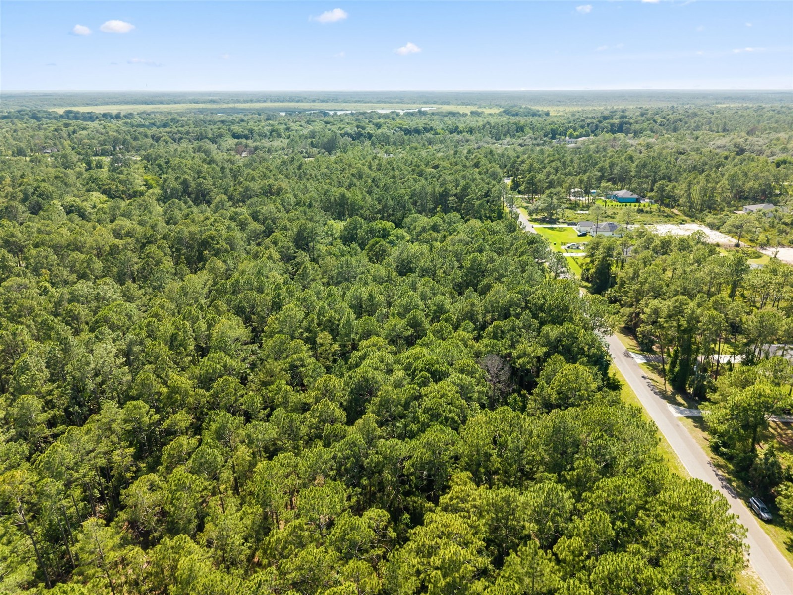 Apricot Avenue Eustis FL 32736 O6413791 image9
