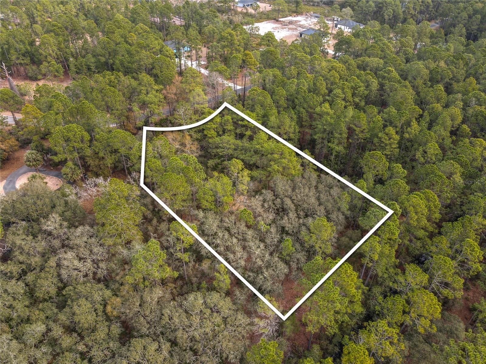 Apricot Avenue Eustis FL 32736 - LAKE NORRIS AND LAKE MARION TB8475273 image1