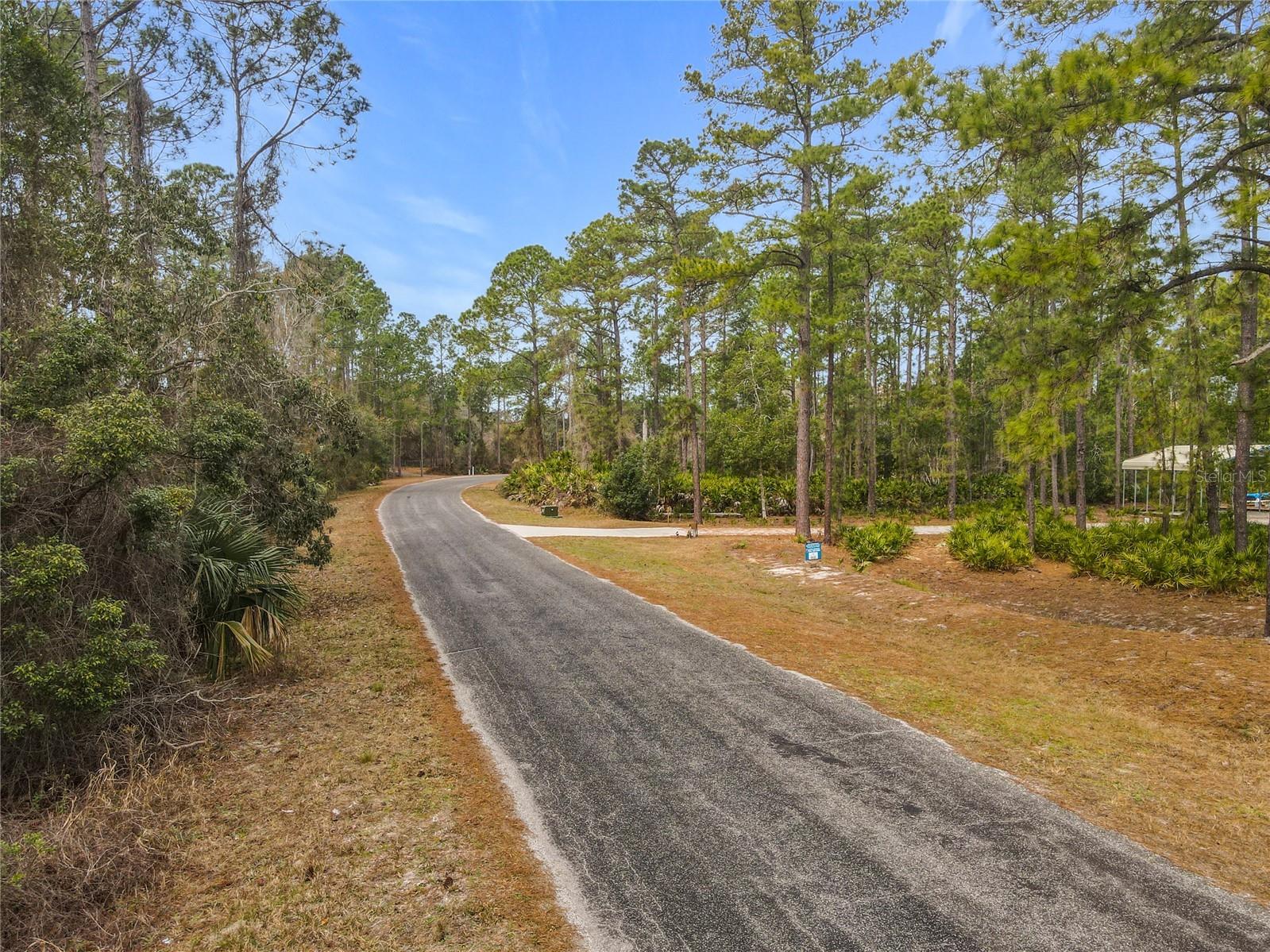 Apricot Avenue Eustis FL 32736 - LAKE NORRIS AND LAKE MARION TB8475273 image10