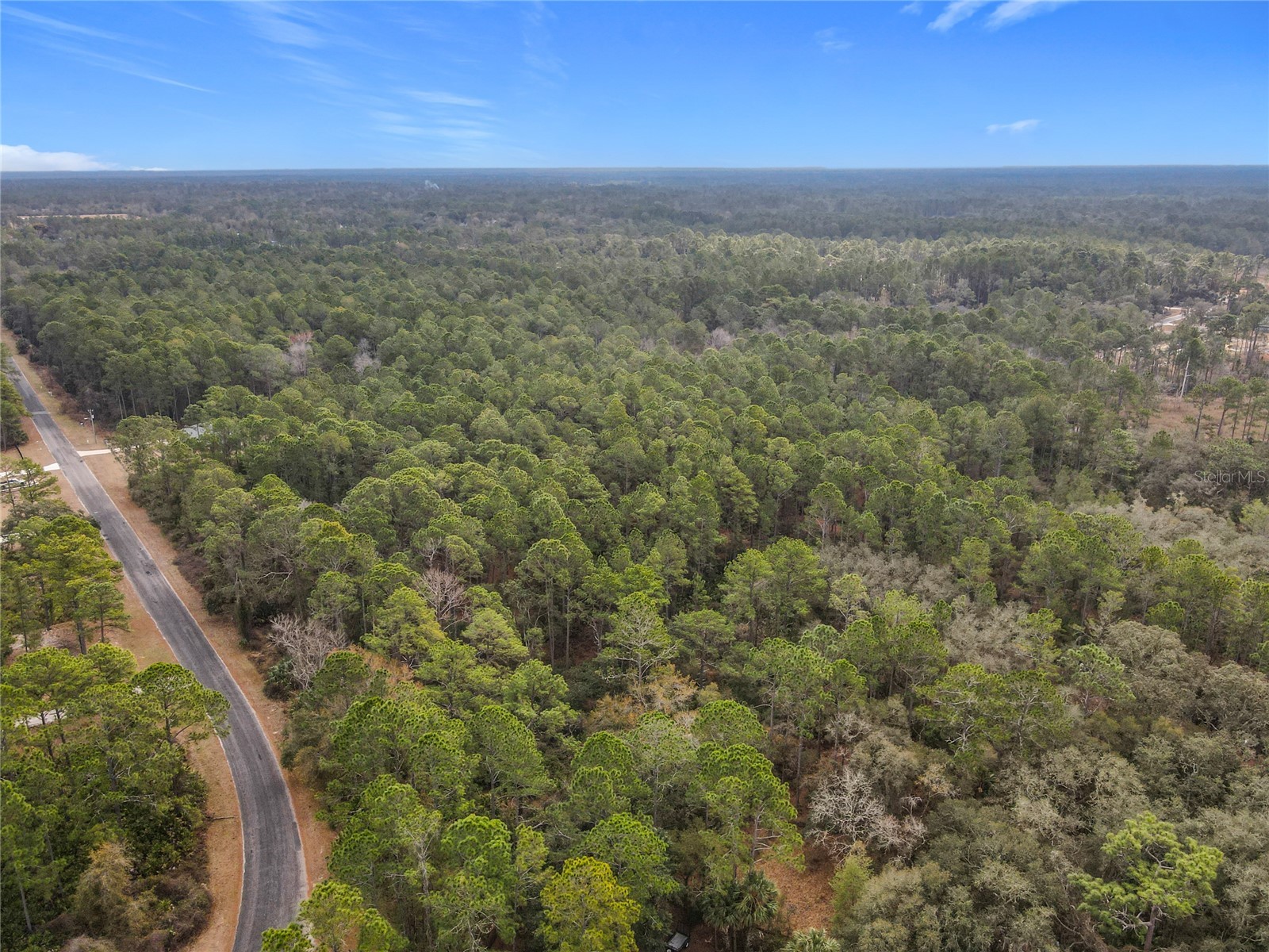 Apricot Avenue Eustis FL 32736 - LAKE NORRIS AND LAKE MARION TB8475273 image11