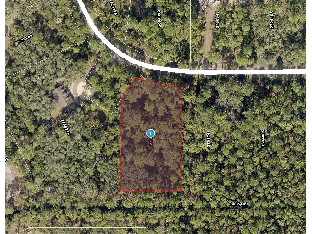 Apricot Avenue Eustis FL 32736 - LAKE NORRIS AND LAKE MARION TB8475273 image12