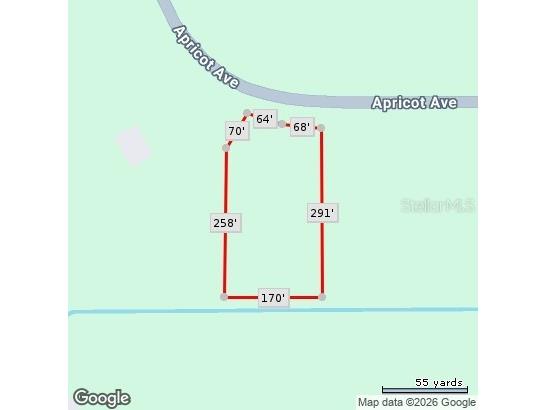 Apricot Avenue Eustis FL 32736 - LAKE NORRIS AND LAKE MARION TB8475273 image14