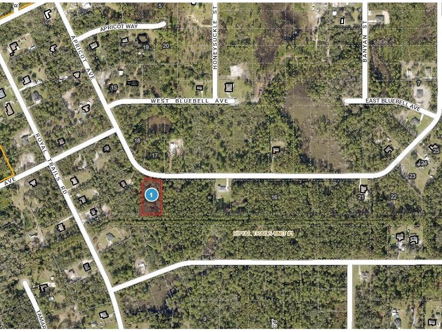 Apricot Avenue Eustis FL 32736 - LAKE NORRIS AND LAKE MARION TB8475273 image2