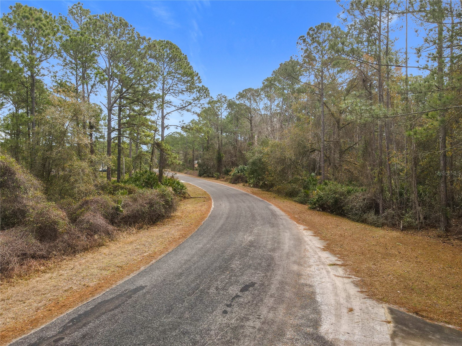 Apricot Avenue Eustis FL 32736 - LAKE NORRIS AND LAKE MARION TB8475273 image3